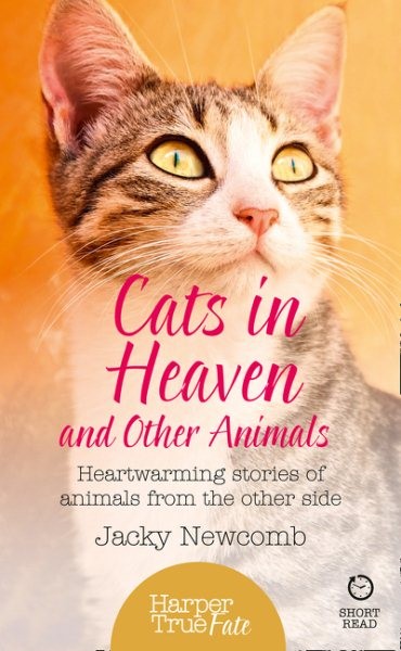 Cats in Heaven : And Other Animals. Heartwarming Stories of Animals from the ...