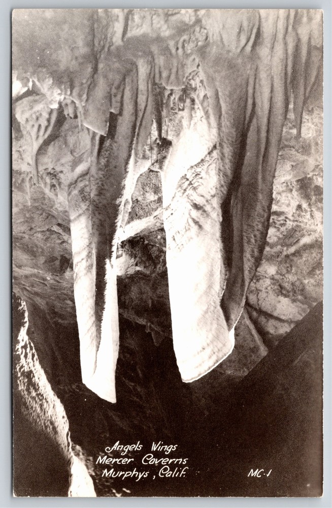 RPPC~California~Angels Wings On Ceiling @ Mercer Caverns~Real Photo Postcard