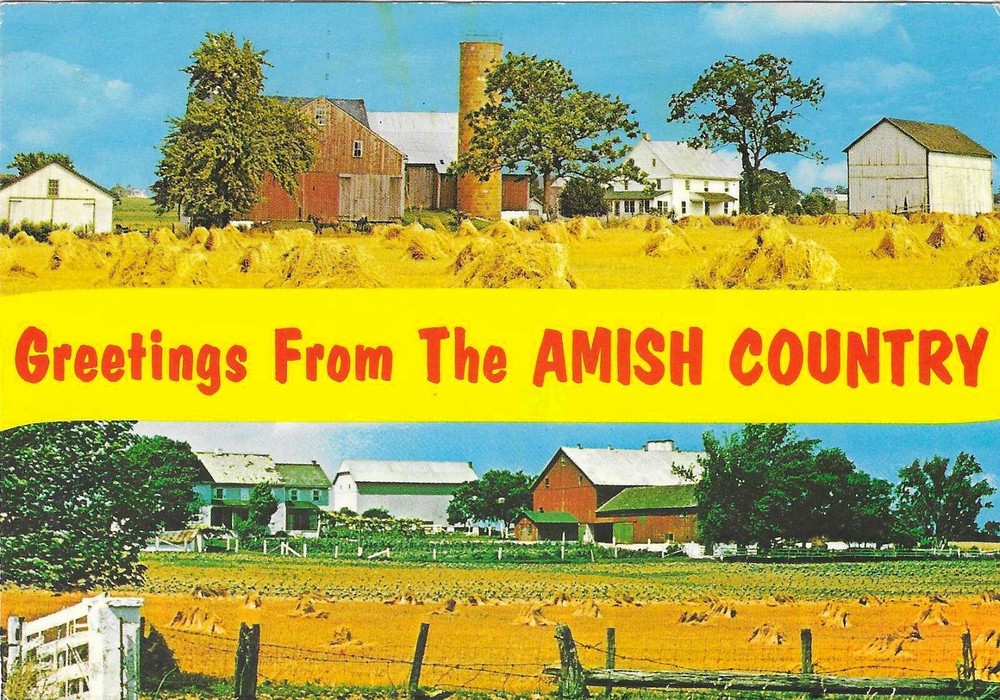 Vintage Pennsylvania Chrome Postcard Amish Country Farm Greetings From Banner