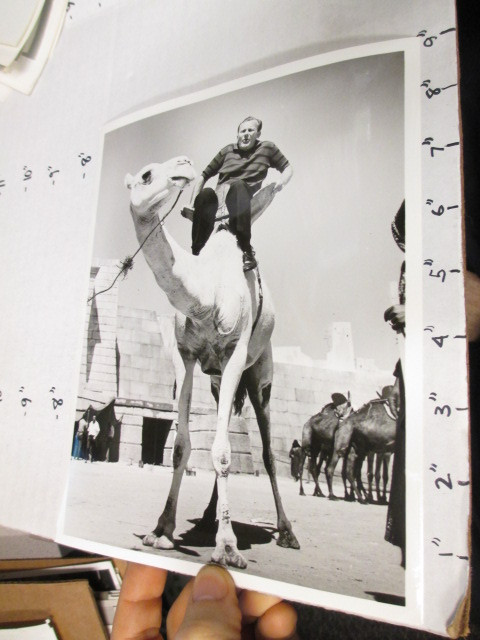 1960s NBC promo photo Jack Paar on camel Tonight Show