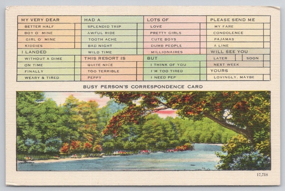 Busy Person's Correspondence Card Asheville NC Linen Postcard Vintage