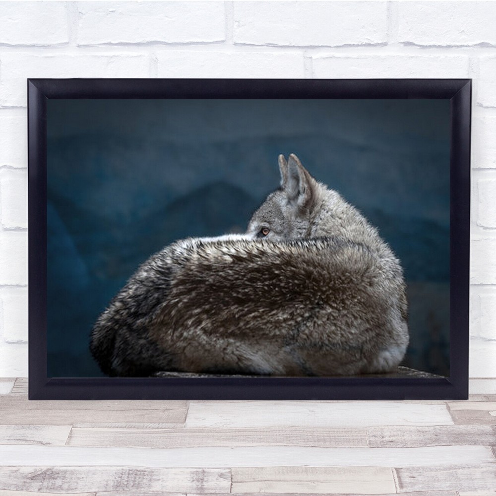 Rainy Day Eye Wolf Animal Wall Art Print