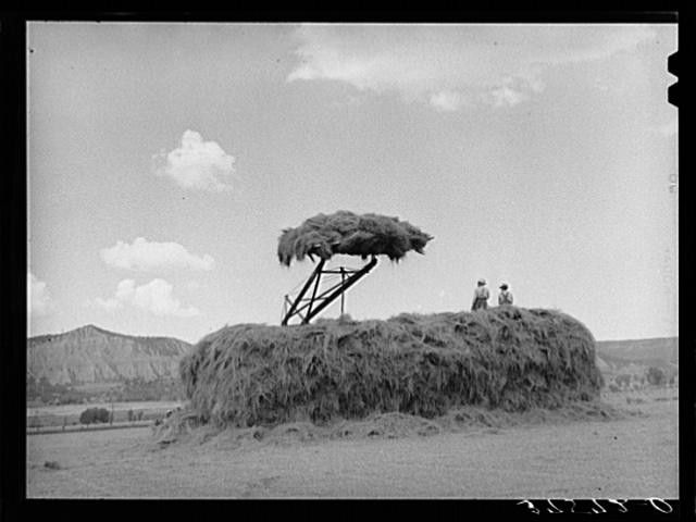 Ouray County,Colorado,CO,Farm Security Administration,September 1940,FSA,3
