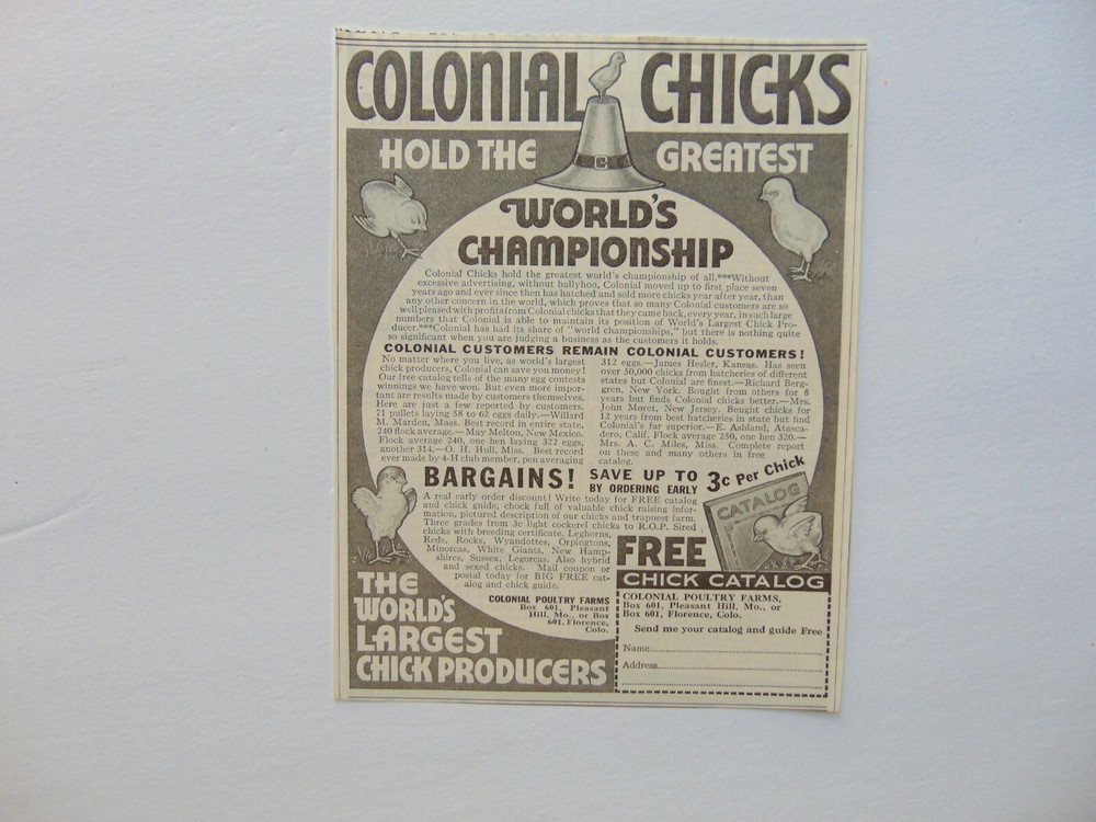 1937 COLONIAL CHICKS from Colonial Poultry Farms vintage art  print ad