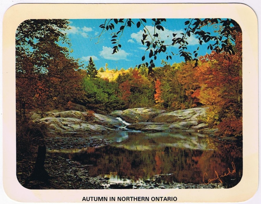 Postcard Autumn In Northern Ontario 5 1/4