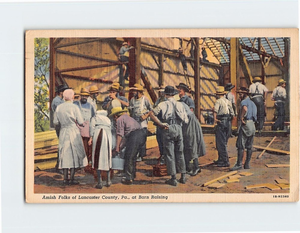 Postcard Amish Folks of Lancaster County Pennsylvania at Barn Raising USA