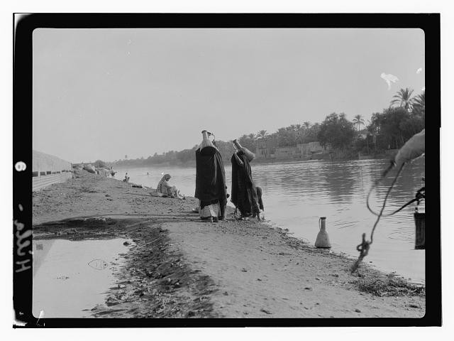 Photo:Hilla Iraq 1932 Riverbank Women Dames Waterfront Palm Trees