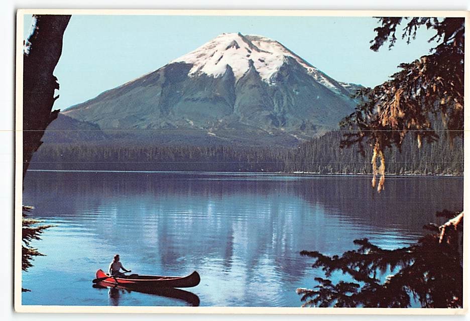 Postcard Mt. St. Helens Washington USA