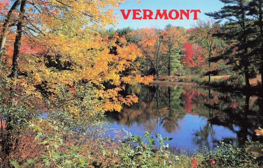Beautiful Reflection off Lake in Vermont - Autumn Fall Foliage - VT - Postcard