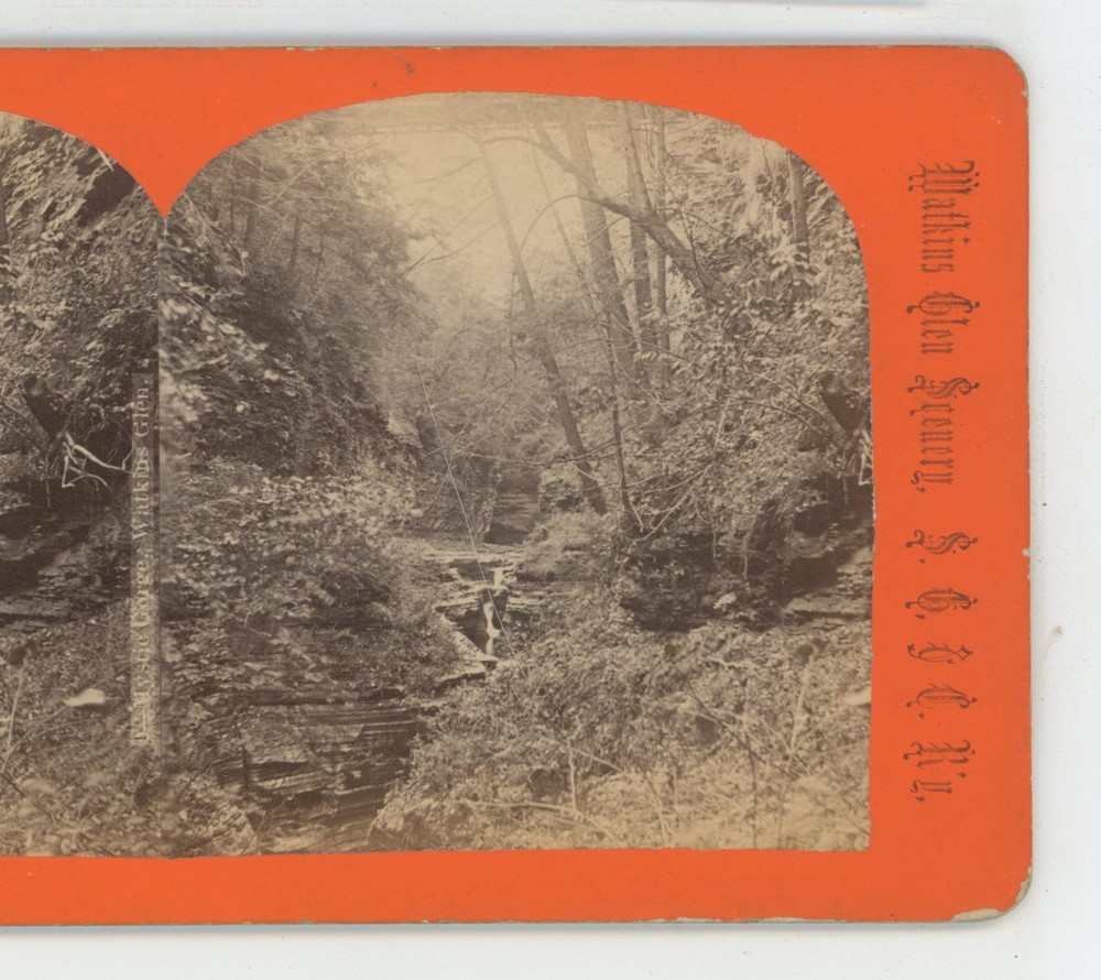 View in Watkins Glen NY New York Crum Stereoview