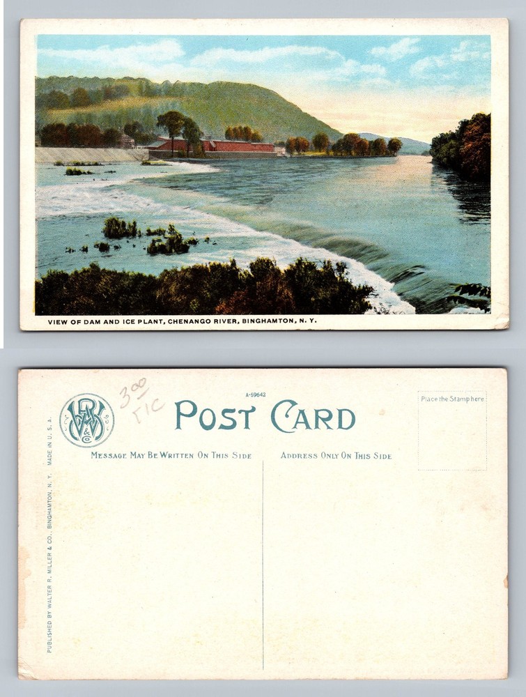 Binghamton, NY-New York, Chenango River Ice Plant Dam PC Vintage Postcard