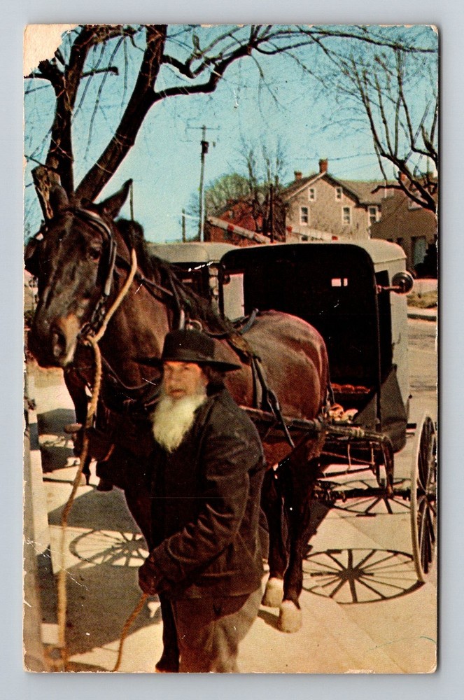 Ohio Amish Country, OH-Ohio, Amish Man Horse Wagon Rural Scene Vintage Postcard