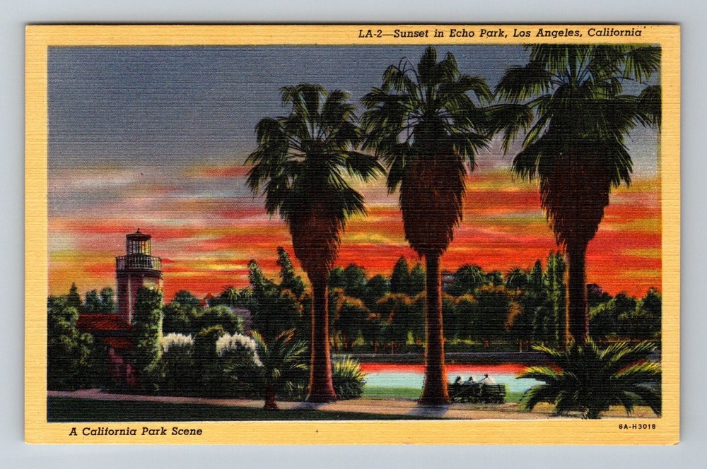 Los Angeles, CA-California, Sunset in Echo Park Palm Trees Vintage Postcard