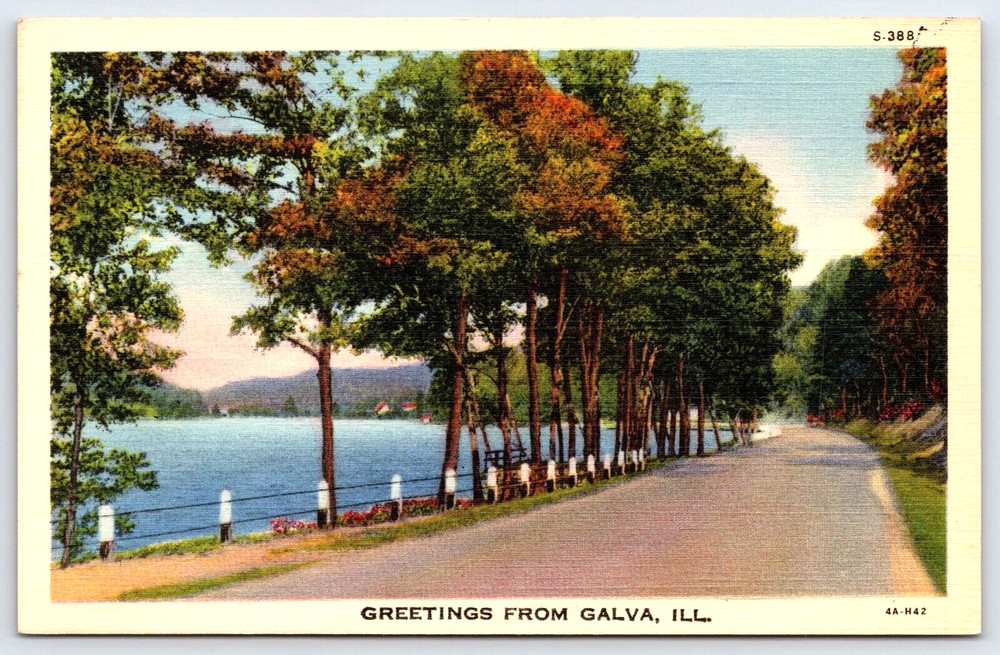 Galva Illinois Il Street View Lake Water Trees Vintage Postcard 1942