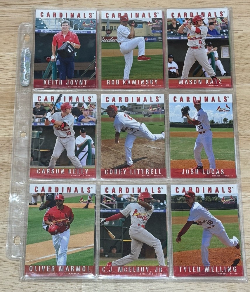 2015 Grandstand Minor League Baseball Palm Beach Cardinals Complete Team Set