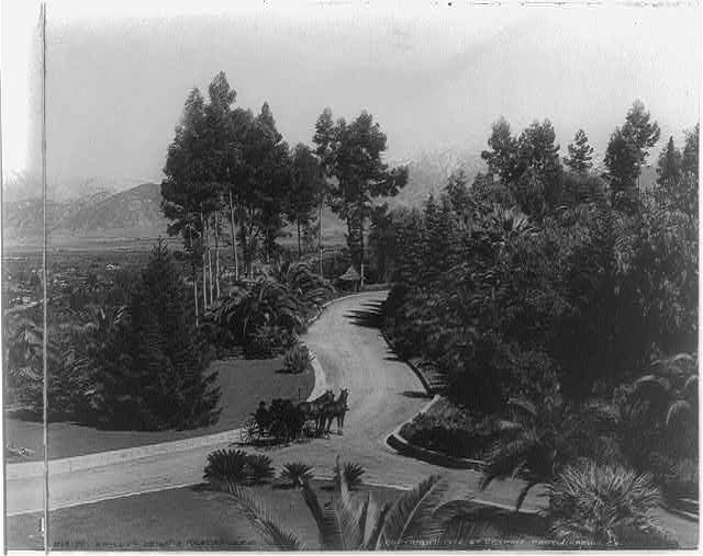 Photo:Redlands California Smiley's Heights 1902 Scenic Road Horse Carriage