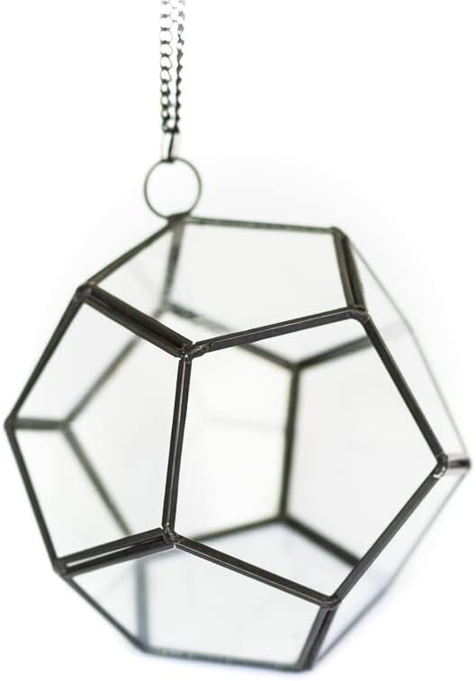 Glass Pentagon Terrarium with Air Plants for Indoor Outdoor Decor  