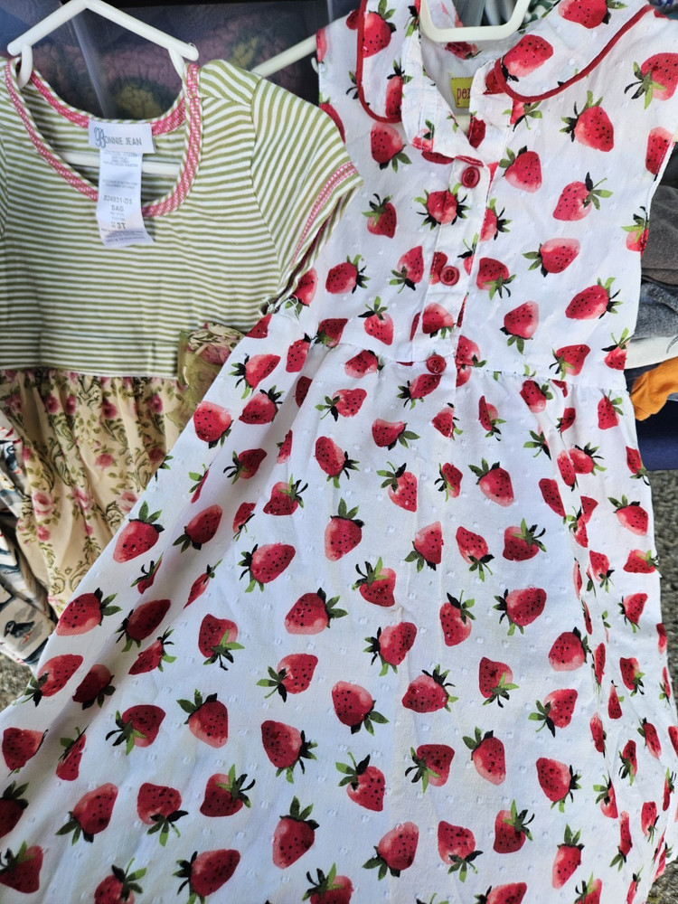 Penelope Mack girls' a-line strawberry print sleeveless dress white/red/green 4T