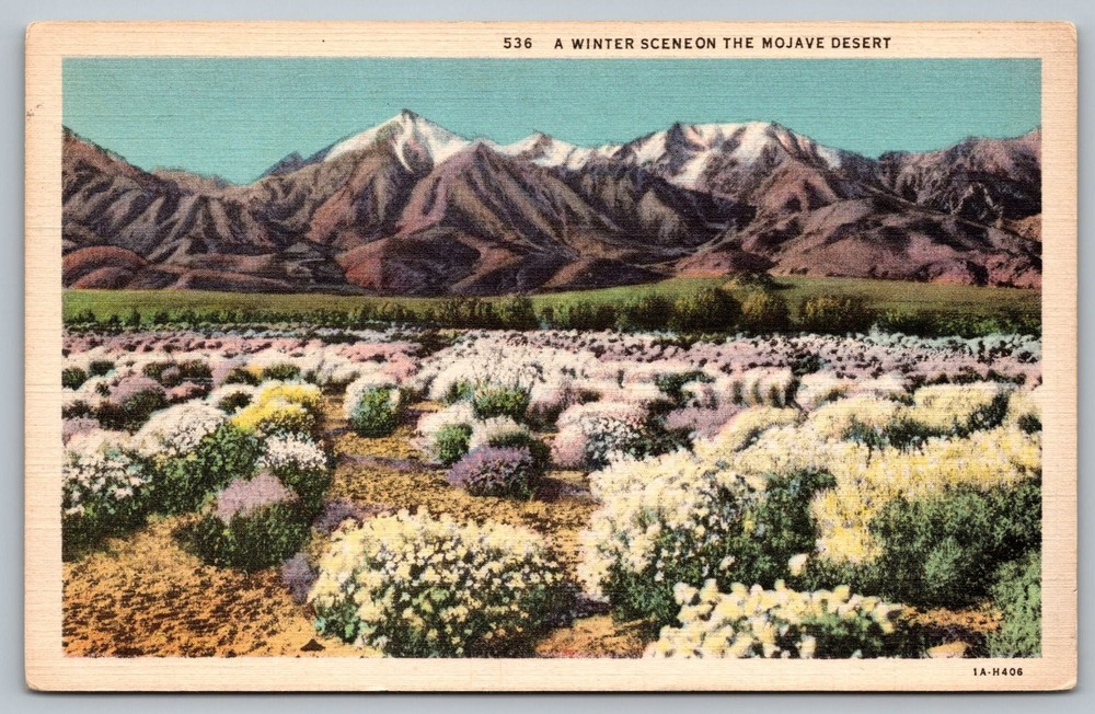Mojave Desert Winter Scene Postcard - Snow-Capped Mountains, California