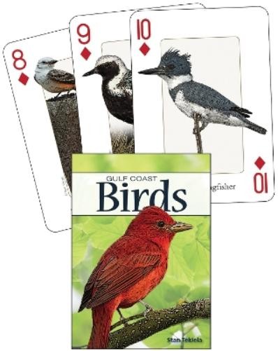 Stan Tekiela Birds of the Gulf Coast Playing Cards (Cards) Nature's Wild CardsAnother great item from Rarewaves USA | Free delivery!