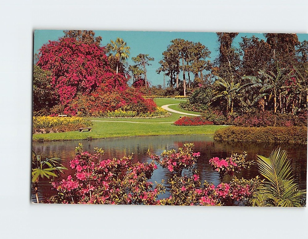 Postcard Tropical Wonderland Cypress Gardens Florida Lake Eloise USA America