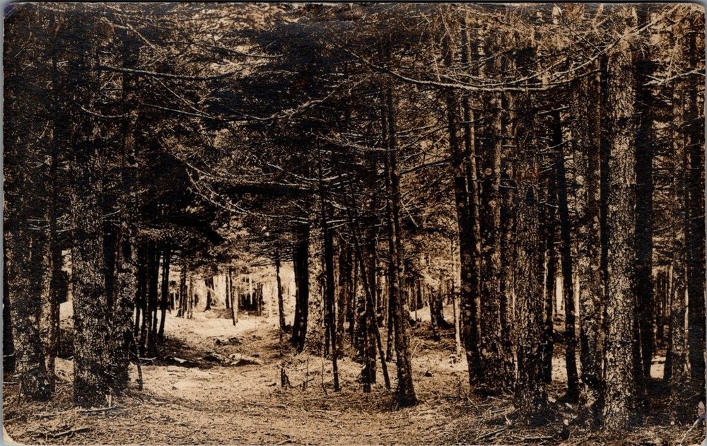 1923, Trail, BOOTHBAY HARBOR, Maine Real Photo Postcard - McDougall & Keefe
