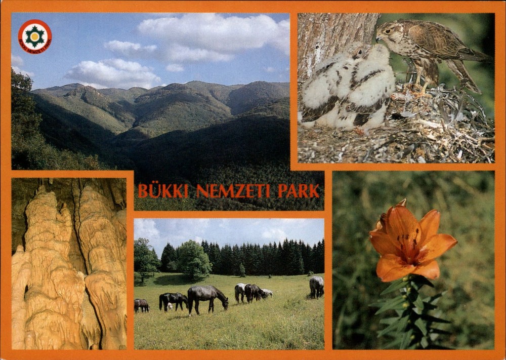 Hungary Eger Bukki National Park birds horses flower multiview ~ postcard sku963