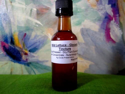 Wild Lettuce Herbal Glycerin Tincture