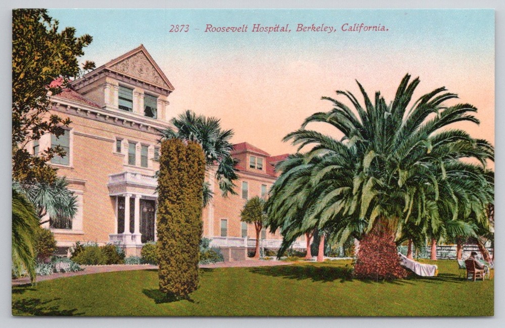 Roosevelt Hospital Berkeley CA Postcard Edward H Mitchell Early 1900s Palm Trees