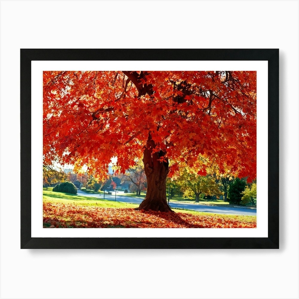Autumn Oak Tree Abundantly Lit Framed Wall Art Canvas Print