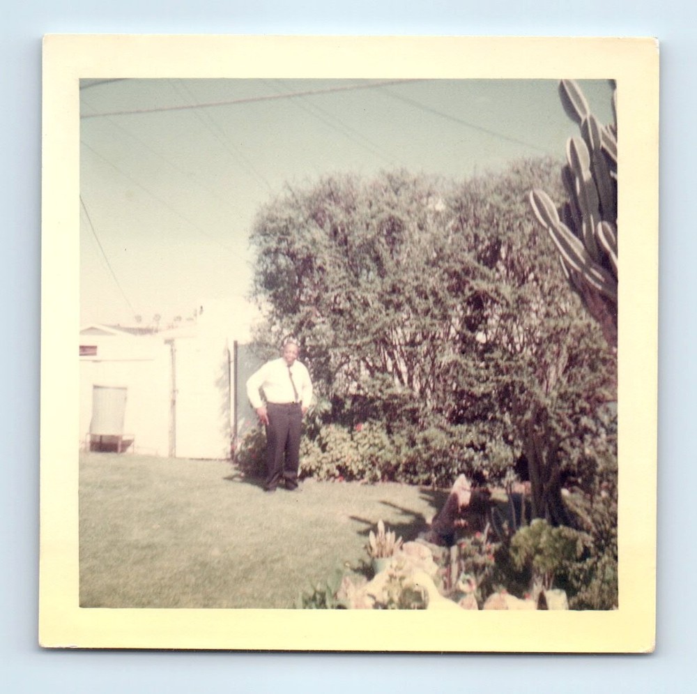 Old Vintage Square Color Photo SOLO BLACK AFRICAN AMERICAN MAN CACTUS
