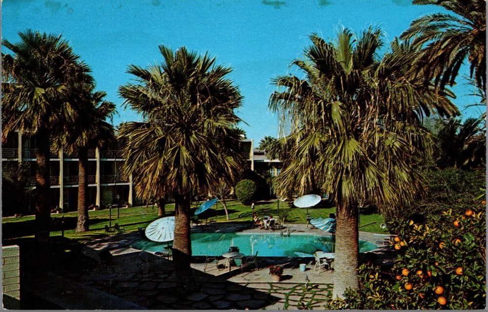 Vintage Los Olivos Hotel Phoenix Arizona AZ Resort Pool Palm Trees Postcard