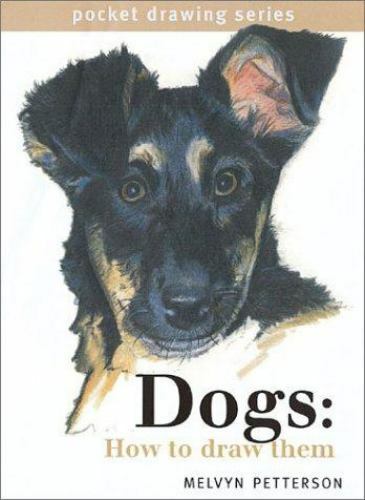 Dogs: How to Draw Them - hardcover, 9781581801989, Melvyn Petterson