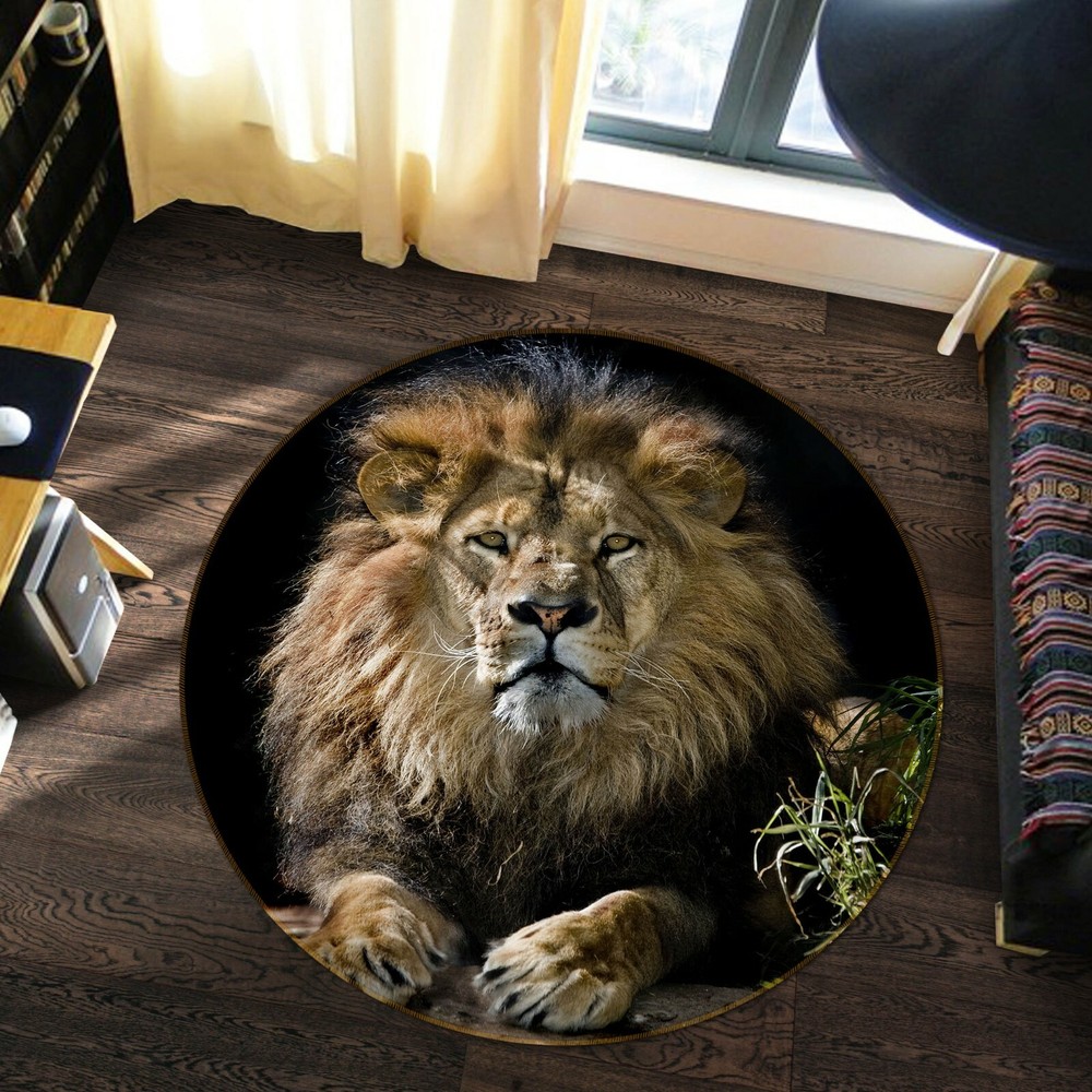 3D Realistic Lion Paw Print Non-Slip Rug Mat for Home Decor O57