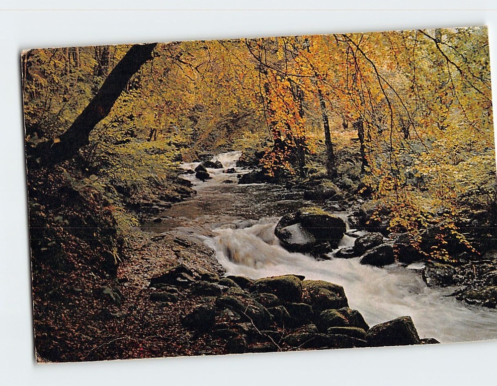 Postcard The Moness Burn Aberfeldy Scotland