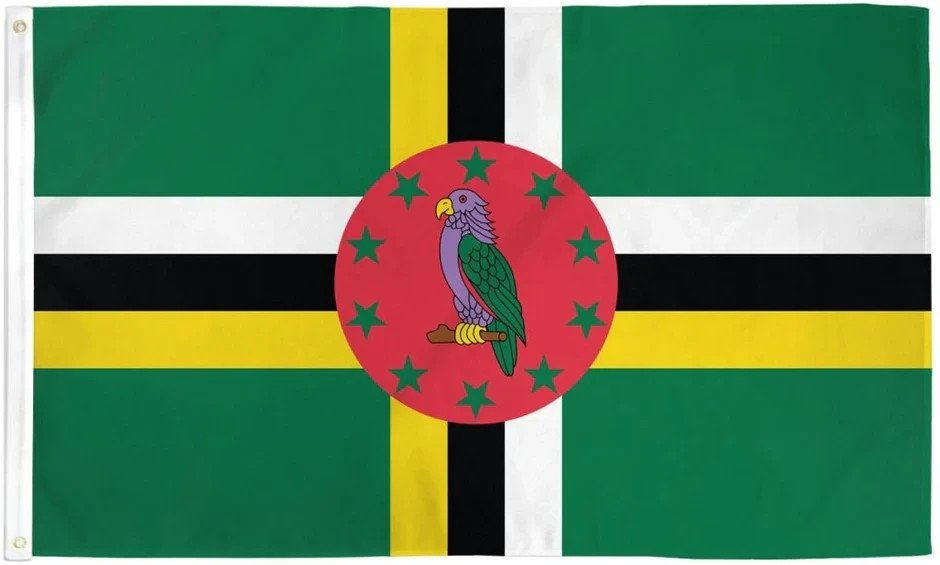 Dominica 2x3ft Poly Flag International Dominican Dominica Country National Flag
