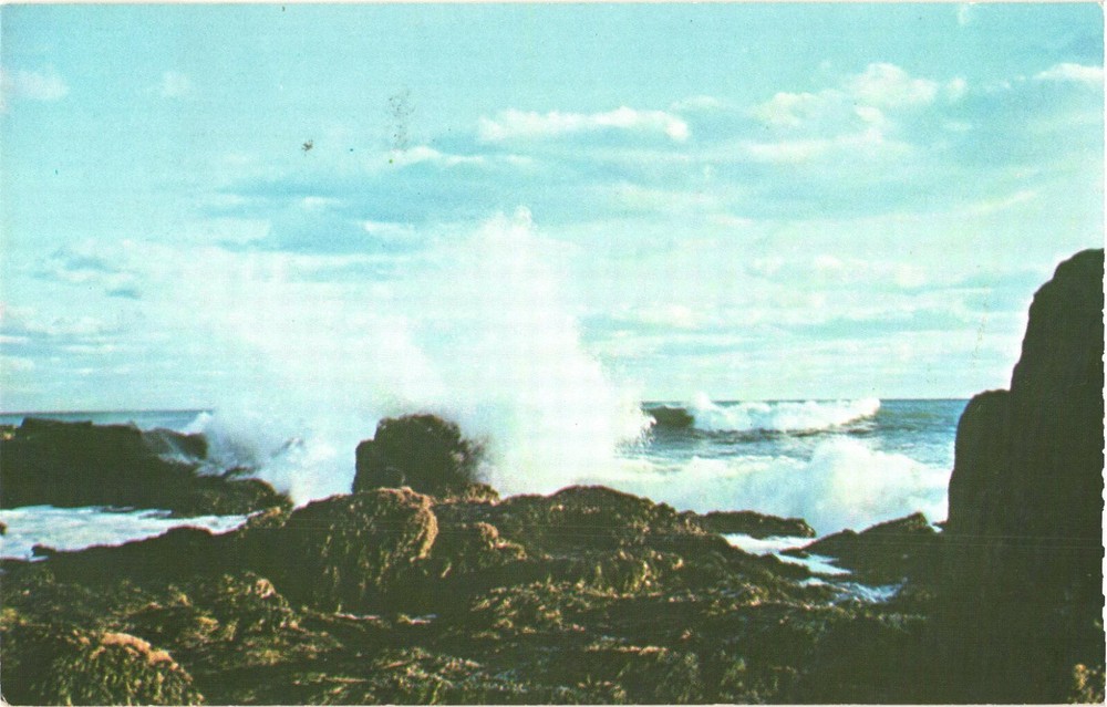 Beautiful Surf At Ocean Drive, Acadia National Park, Maine Postcard-image