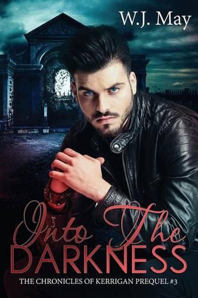 Into the Darkness: paranormal fantasy romance by W.J. May (English) Paperback Bo