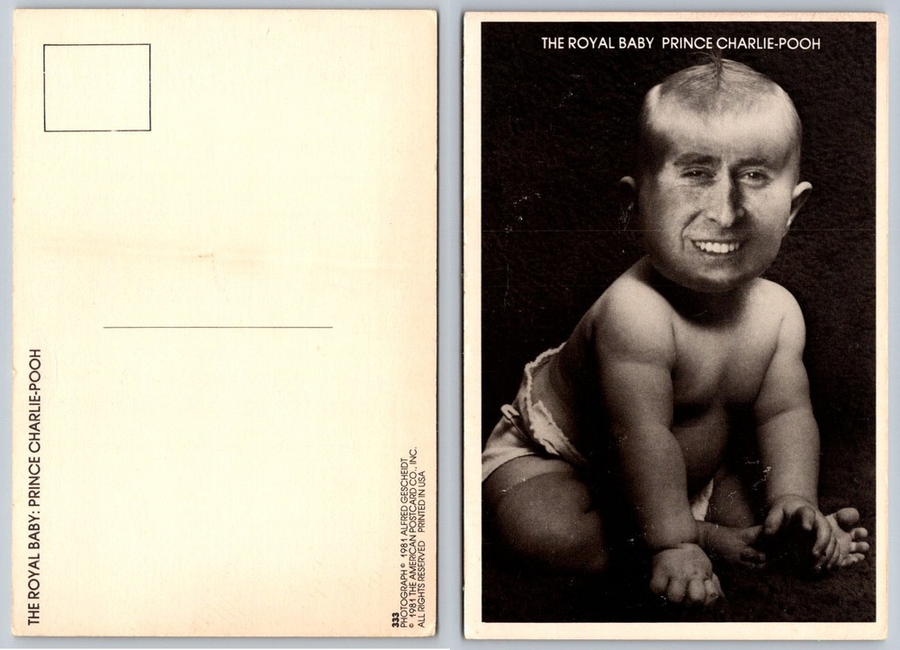 1981 Prince Charles Satire Postcard 