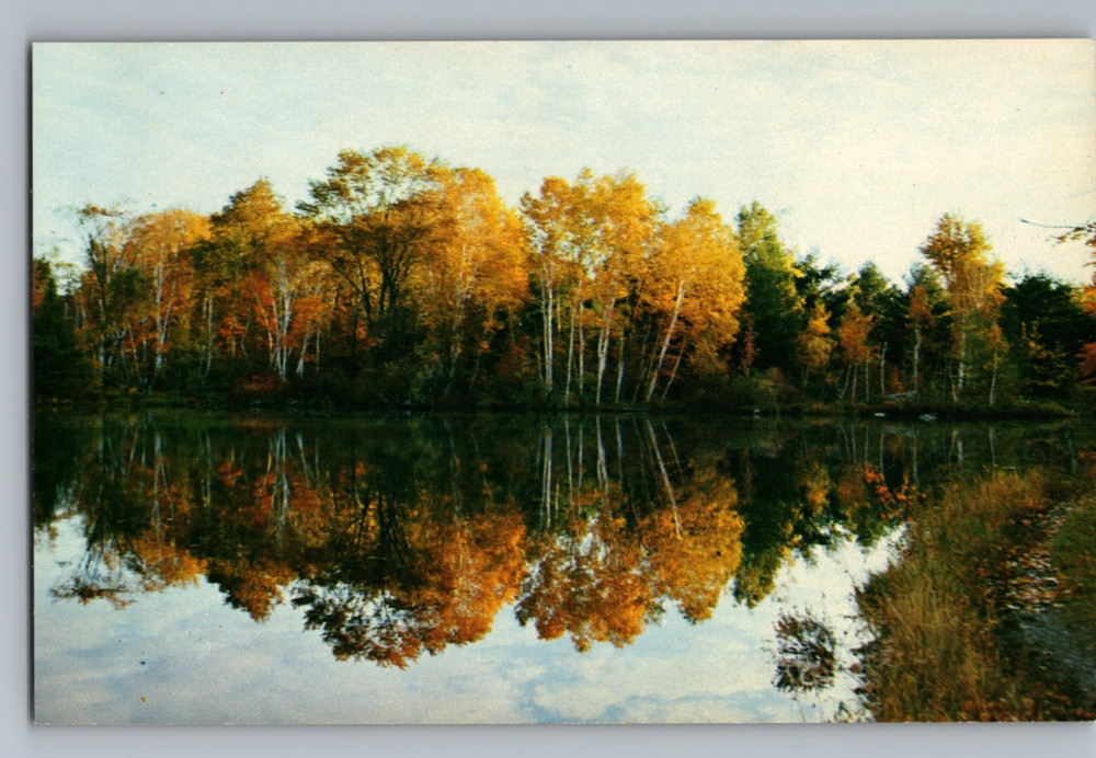 Vermont Lake in Autumn Fall Foliage Trees Reflection on Water Chrome Postcard