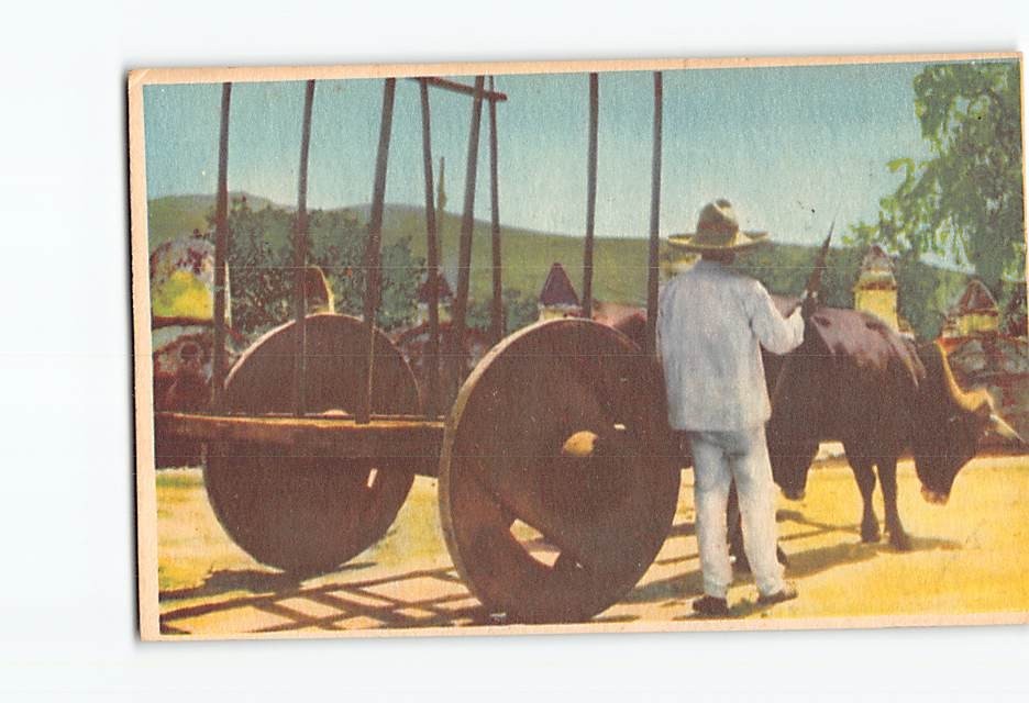 Postcard Mexico Typical Oxcart Carreta de Bueyes Luis Marquez Photo Vintage