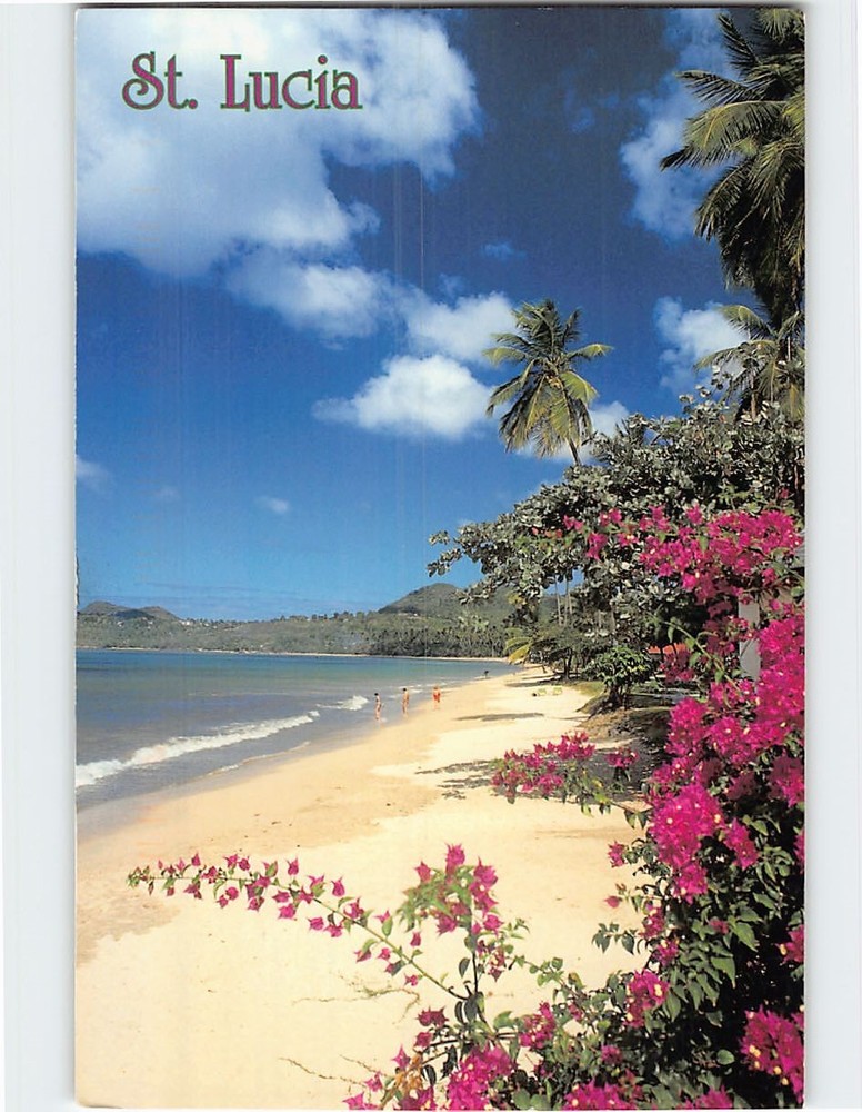 Postcard Beach Scene St. Lucia