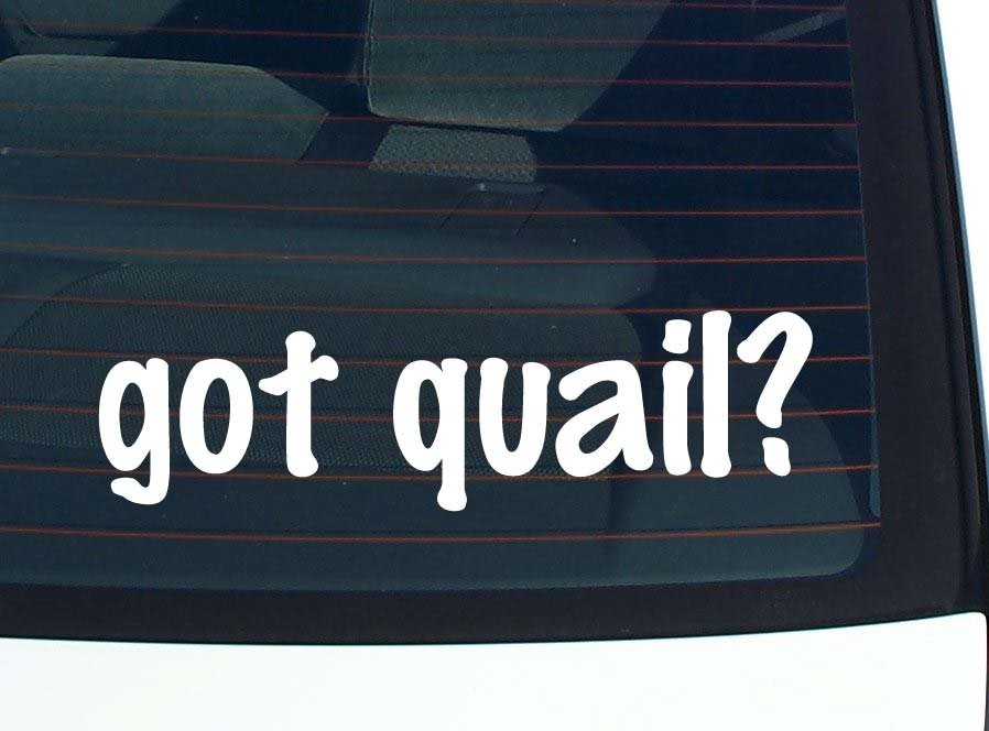 Got Quail Funny Vinyl Car Decal Bumper Sticker Window Joke