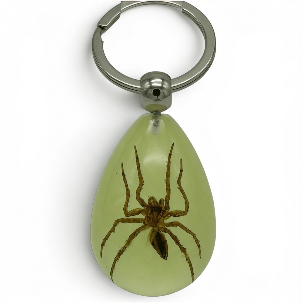 Real Spider Glow in Dark Resin Keychain Taxidermy Collectible Oddity Gift