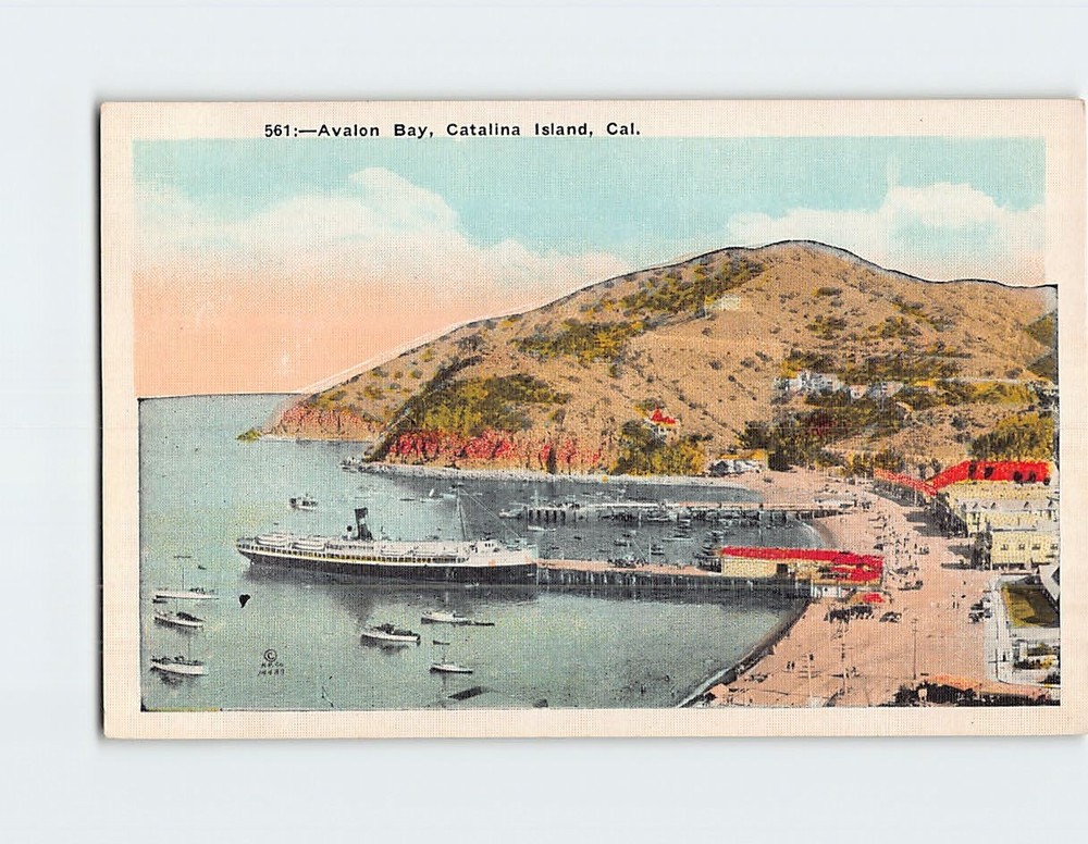 Postcard Avalon Bay Santa Catalina Island California USA