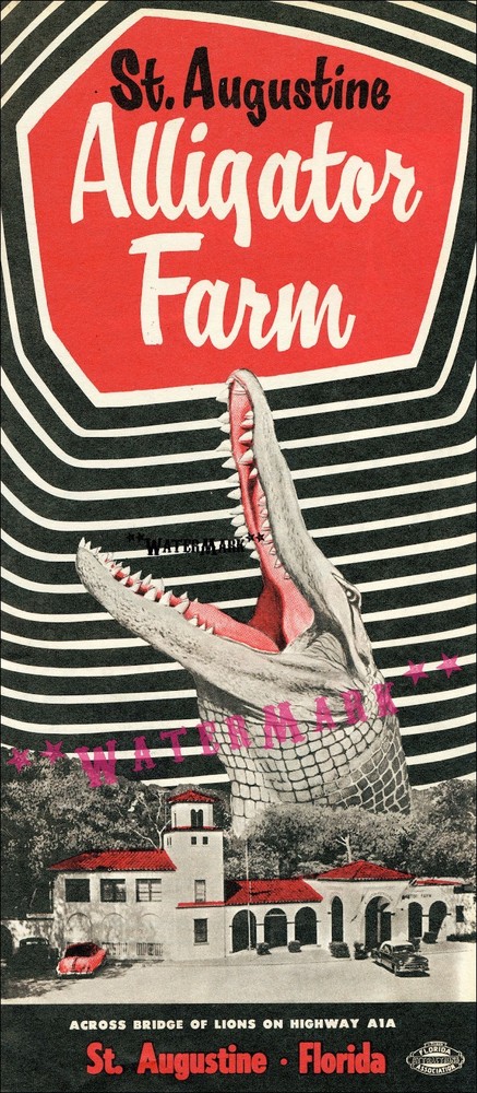 St. Augustine Florida 1950 Alligator Farm Vintage Poster Print Tourism Decor Art