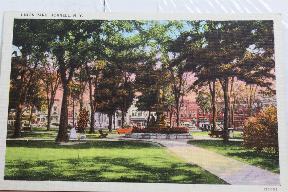 New York NY Hornell Union Park Postcard Old Vintage Card View Standard Souvenir