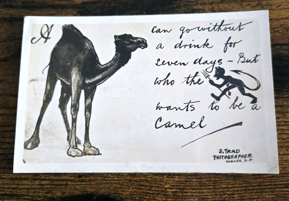 1907 Postcard Camel Devil Illustration S Trad Photographer
