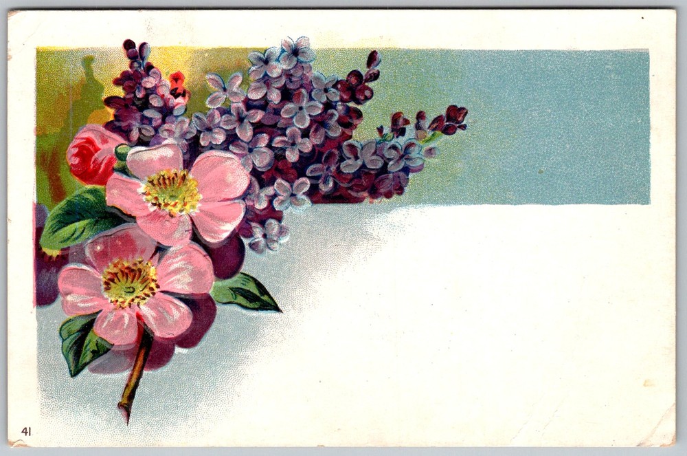 Antique Postcard Wild Rose Lilac Bouquet 1910s