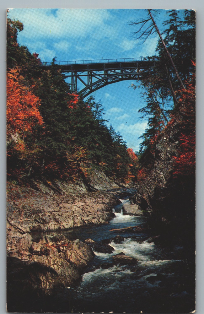 Vermont Quechee Gorge Ottauquechee River Autumn Landscape Chrome Postcard